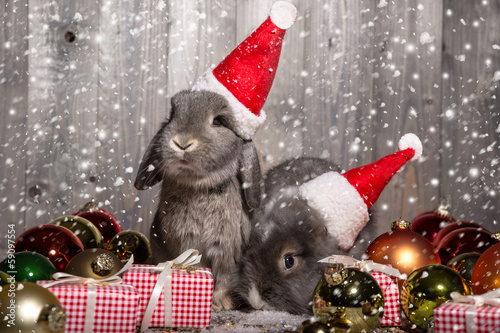Photo: christmas rabbits christmas rabbits