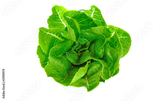 Photo: Green cos salad Green cos salad