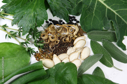 Photo: Seeds and plants from the garden Seeds and plants from the garden