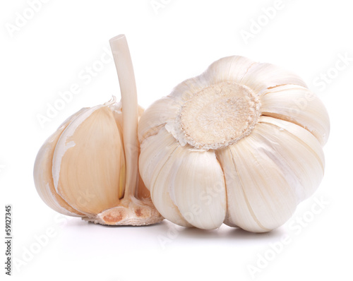 Photo: garlic bulb garlic bulb