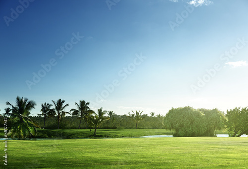 Photo: golf course golf course