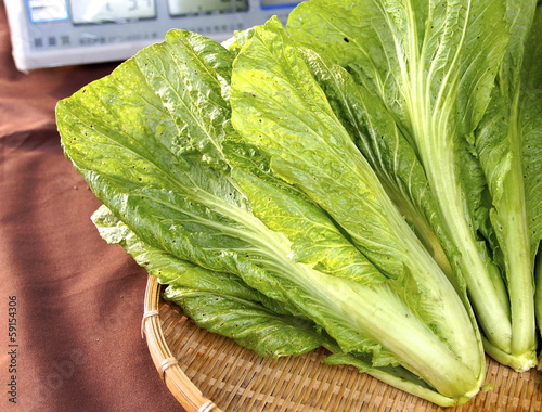 Photo: Food Food
