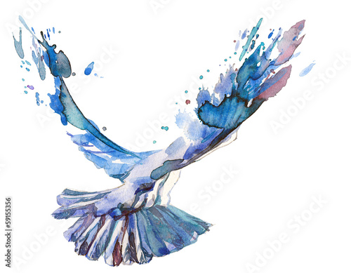 bird