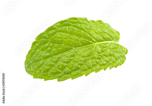 Photo: Mint leaf. Mint leaf.