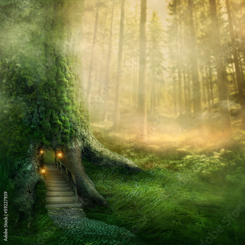 Illustration: Fantasy tree house Fantasy tree house