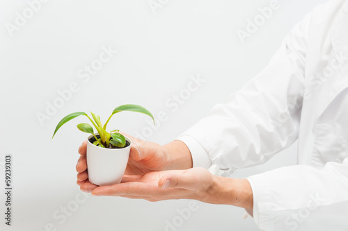 Photo: 植物を手にしている研究者 植物を手にしている研究者