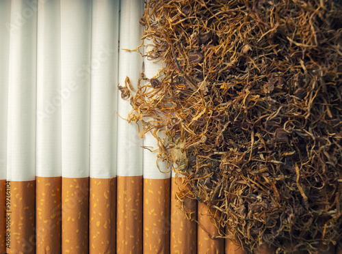Photo: Tobacco Tobacco