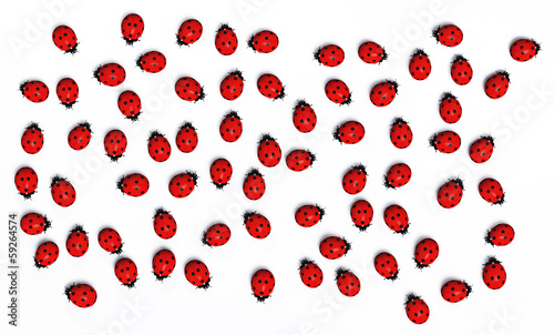Illustration: Crowd of ladybugs Crowd of ladybugs