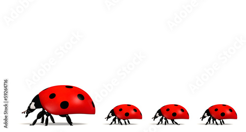 Illustration: Ladybirds in a horizontal row Ladybirds in a horizontal row