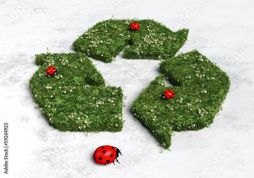 Illustration: Ladybirds on recycling symbol Ladybirds on recycling symbol