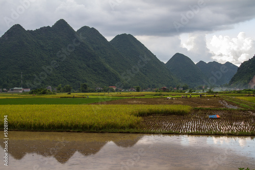 Photo: Bac Son Rice Field Bac Son Rice Field