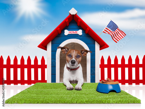Photo: dog house dog house
