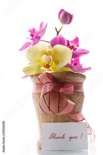 Photo: orchid flowers with gratitude orchid flowers with gratitude