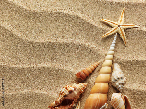 Photo: Sea shell on sand Sea shell on sand