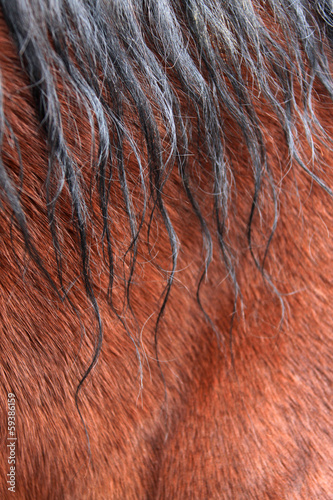 Photo: 1917f 1917f