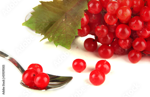 Photo: Red berries of viburnum in teaspoon isolated on white Red berries of viburnum in teaspoon isolated on white