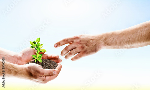 Photo: Sprout in hands Sprout in hands