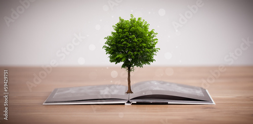 Photo: Tree growing from an open book Tree growing from an open book