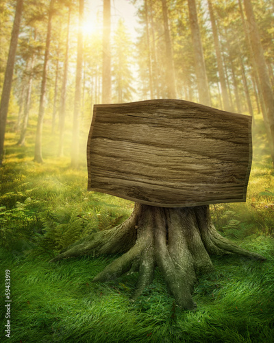 Photo: Wooden sign in the forest Wooden sign in the forest