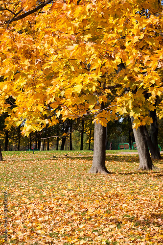 Photo: Autumn Autumn