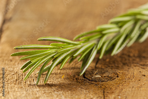 Photo: Fresh Organic Green Rosemary Fresh Organic Green Rosemary