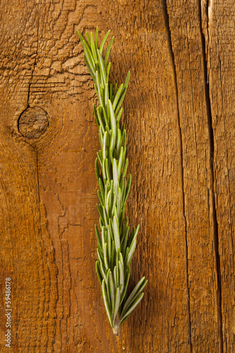 Photo: Fresh Organic Green Rosemary Fresh Organic Green Rosemary