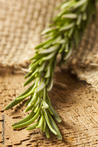 Photo: Fresh Organic Green Rosemary Fresh Organic Green Rosemary