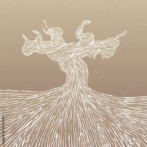 Vector: Grapevine trunk vector illustration Grapevine trunk vector illustration