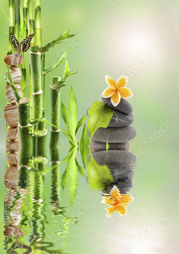 Photo: composition nature détente, bambou zen et galets composition nature détente, bambou zen et galets