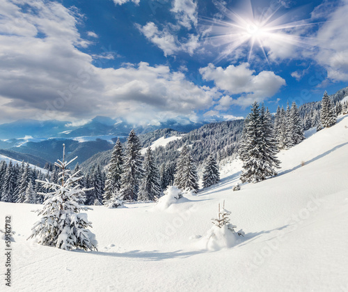 Photo: Beautiful winter landscape in the Carpathian mountains Beautiful winter landscape in the Carpathian mountains
