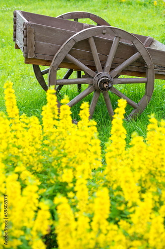 Photo: Old wooden cart on the field with green grass and yellow flowers Old wooden cart on the field with green grass and yellow flowers