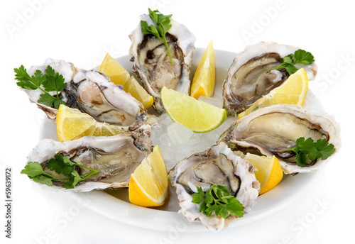 Photo: Oysters isolated on white Oysters isolated on white