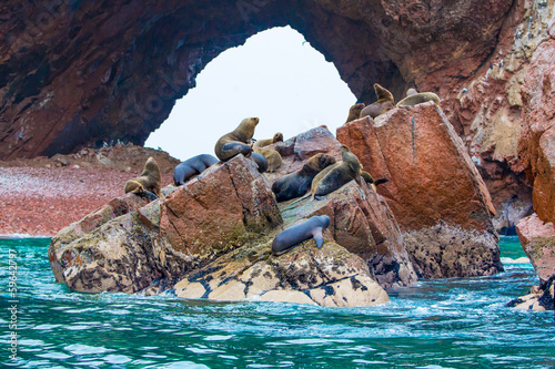 Photo: South American Sea lions relaxing on rocks of Ballestas South American Sea lions relaxing on rocks of Ballestas