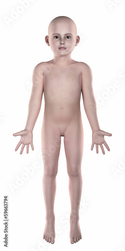 Illustration: Boy anatomical pose isolated anterior Boy anatomical pose isolated anterior