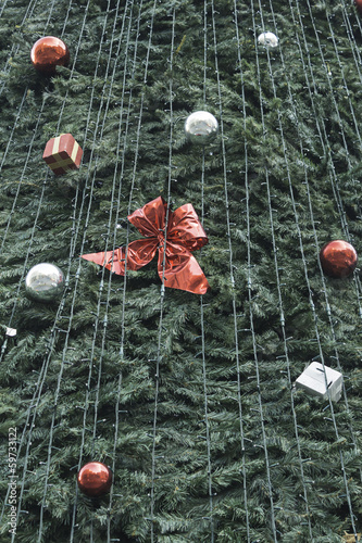 Photo: Christmas tree Christmas tree