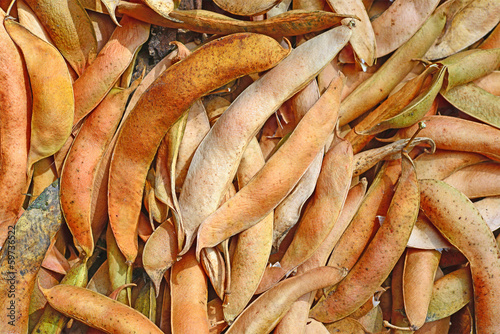 Photo: Ripe pods of beans in the background photo Ripe pods of beans in the background photo