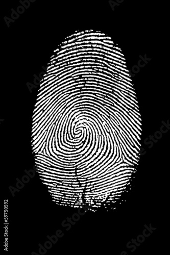 Illustration: Fingerprint Isolated on Black Fingerprint Isolated on Black