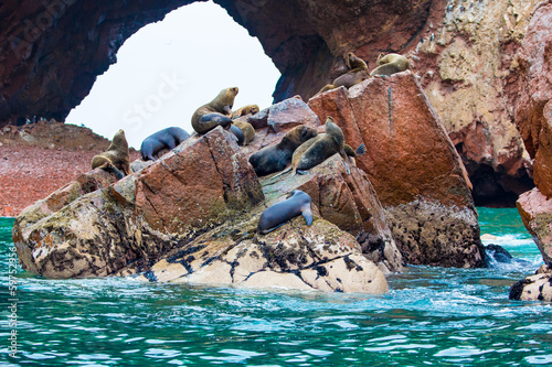 Photo: South American Sea lions relaxing on rocks of Ballestas South American Sea lions relaxing on rocks of Ballestas