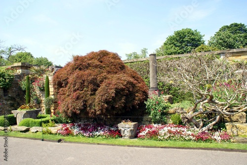 Photo: decorative pathway decorative pathway