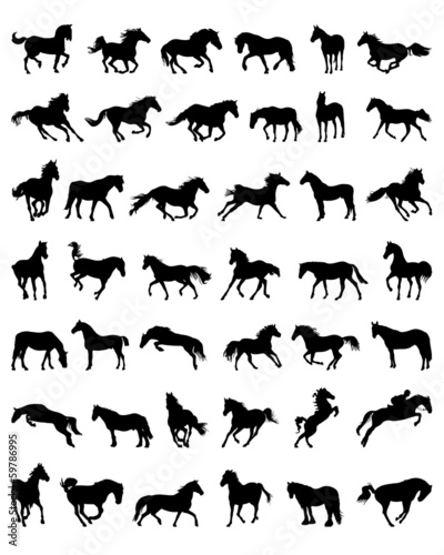 Vector: Black silhouettes of horses, vector Black silhouettes of horses, vector
