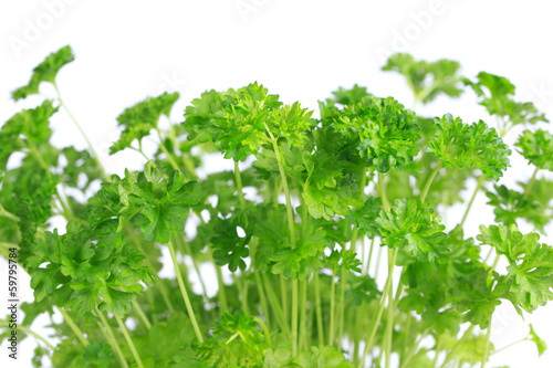 Photo: fresh parsley fresh parsley