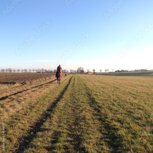 Instant Collection: cavallo in campagna cavallo in campagna