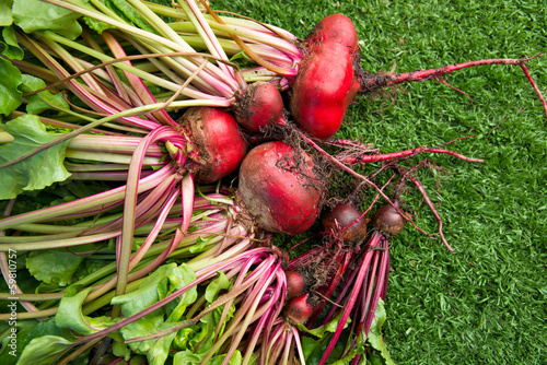 Photo: Beet roots Beet roots