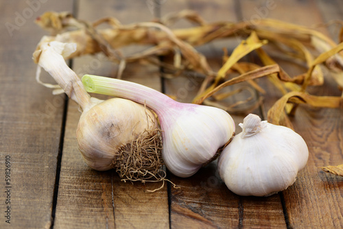 Photo: Knoblauch Knoblauch