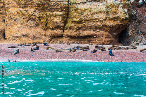 Photo: South American Sea lions relaxing on rocks of Ballestas South American Sea lions relaxing on rocks of Ballestas