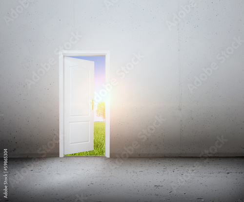 Illustration: Open door to a new world, the green summer landscape. Conceptual Open door to a new world, the green summer landscape. Conceptual