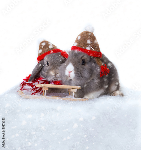 Photo: together in winter together in winter