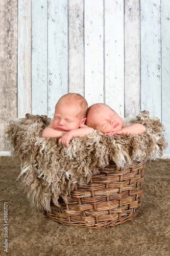 Photo: Vintage basket with twin babies Vintage basket with twin babies