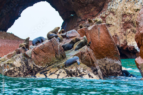 Photo: South American Sea lions relaxing on rocks of Ballestas Islands South American Sea lions relaxing on rocks of Ballestas Islands