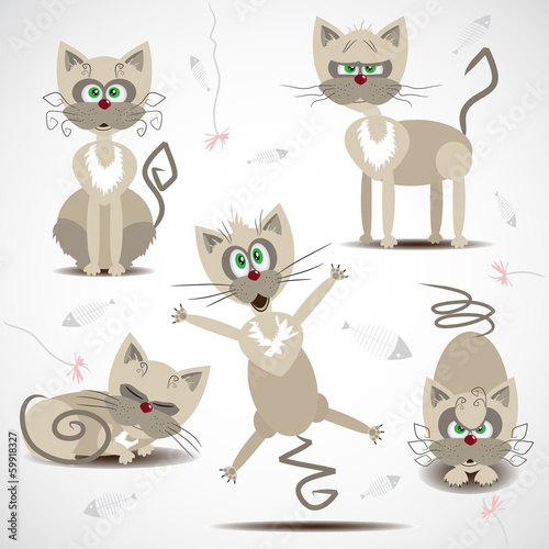 Vector: Cartoon cats in motion and emotion Cartoon cats in motion and emotion